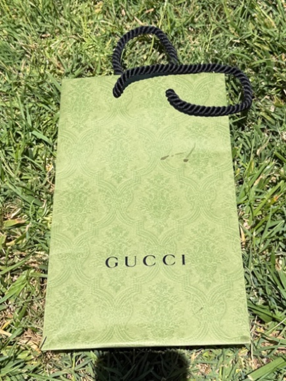 Gucci Light Green Shopping Bag with Black Rope Handles